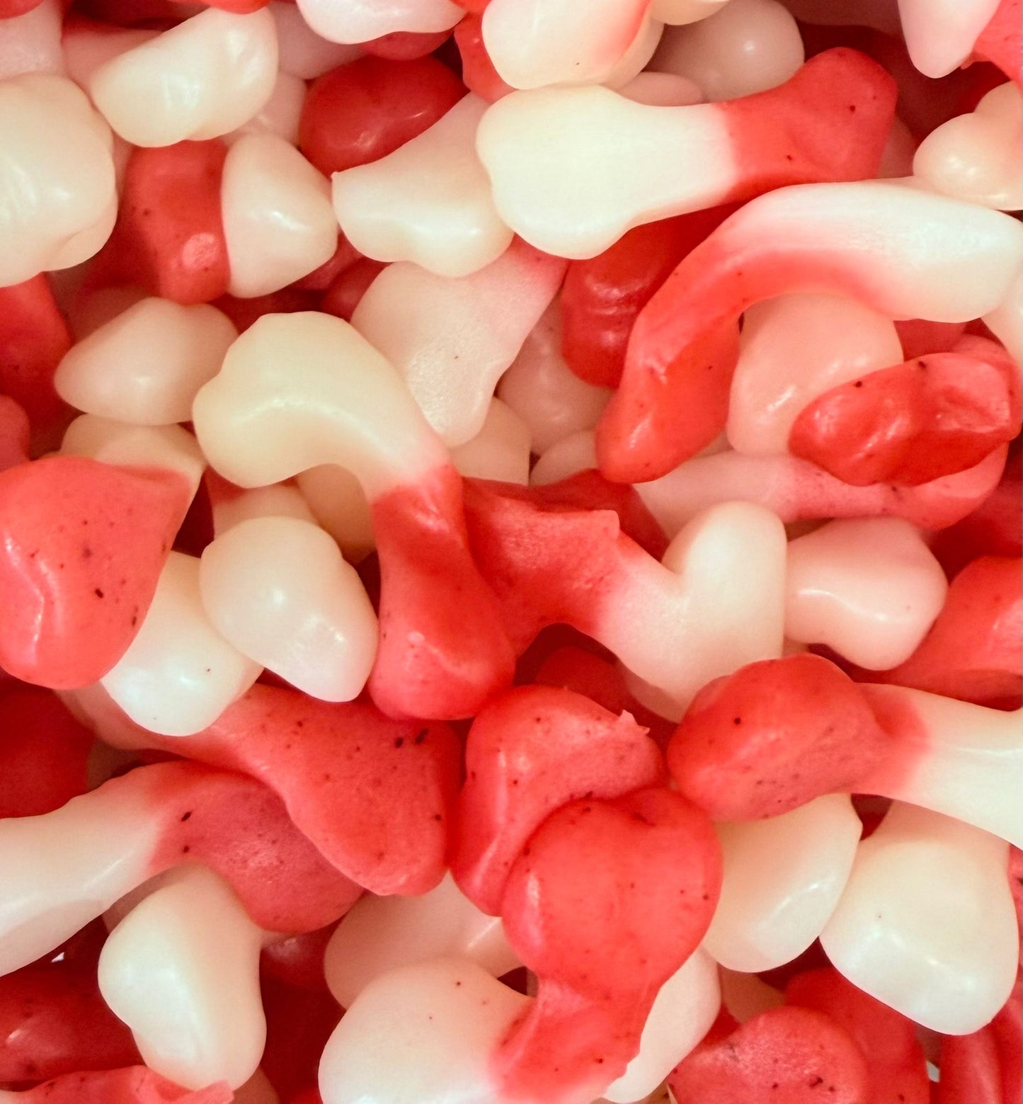 Chewy bones