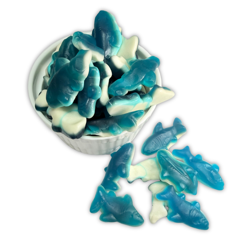 Mini Blue Sharks