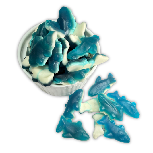 Mini Blue Sharks