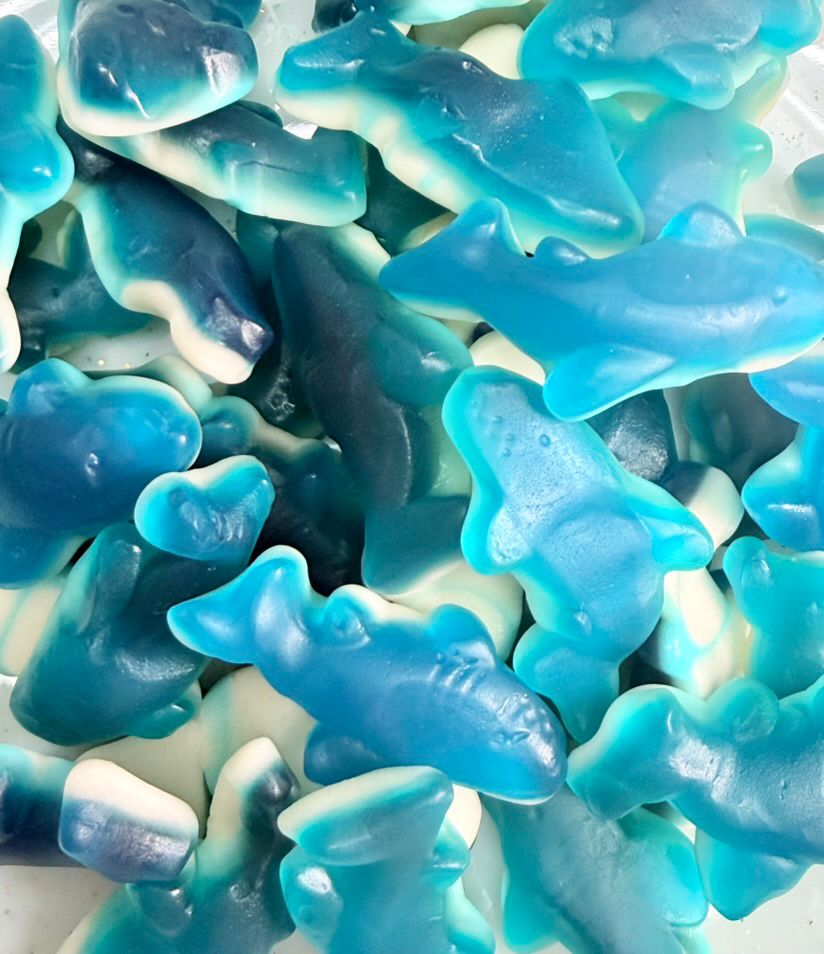 Mini Blue Sharks